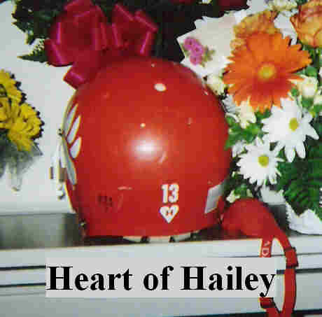 Helmet